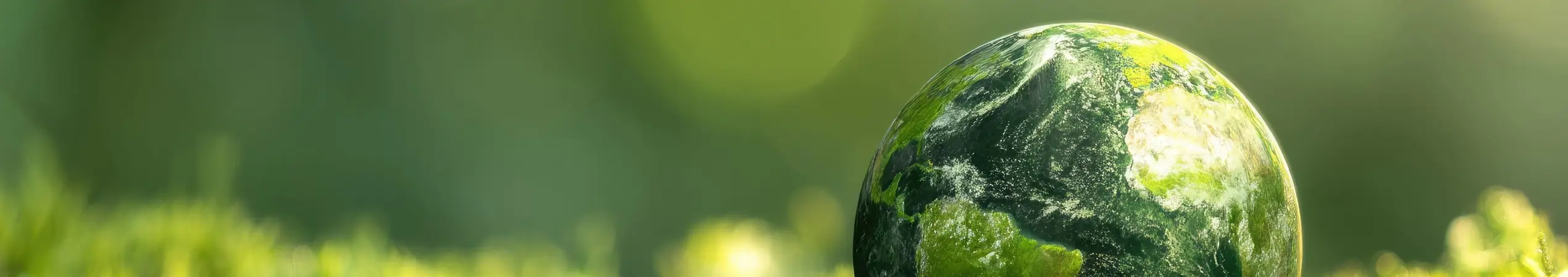 Adobestock 1481029654